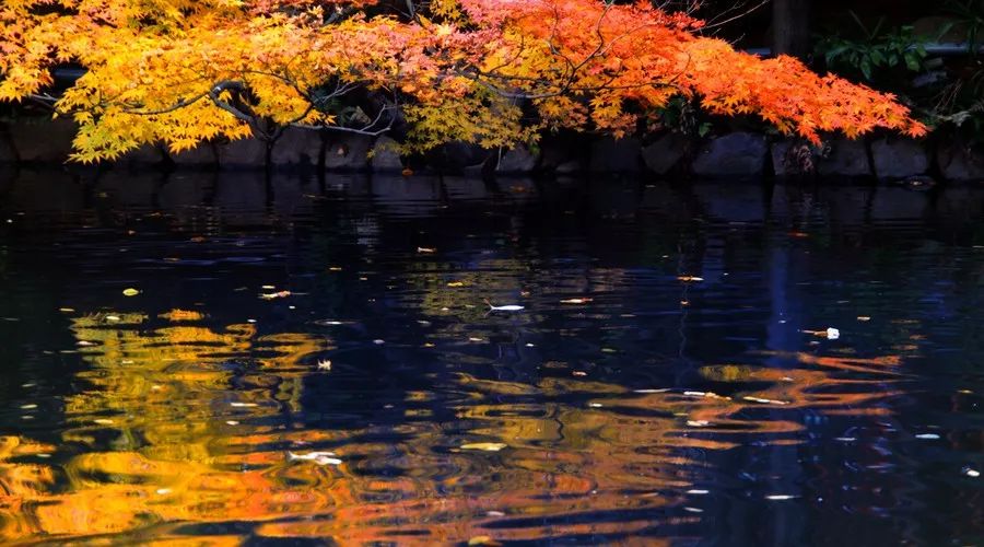 茶隱·喜在山舍，上有茶山下有九溪肆意虛度生活