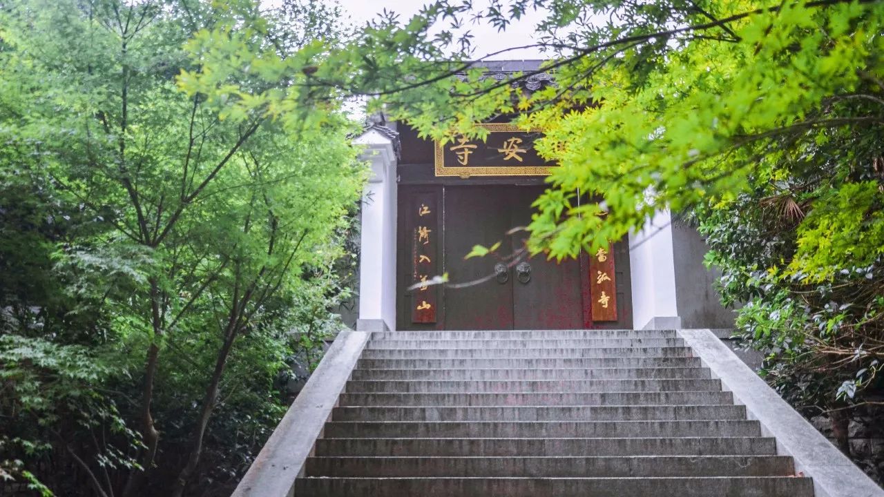 茶隱·喜在山舍，上有茶山下有九溪肆意虛度生活