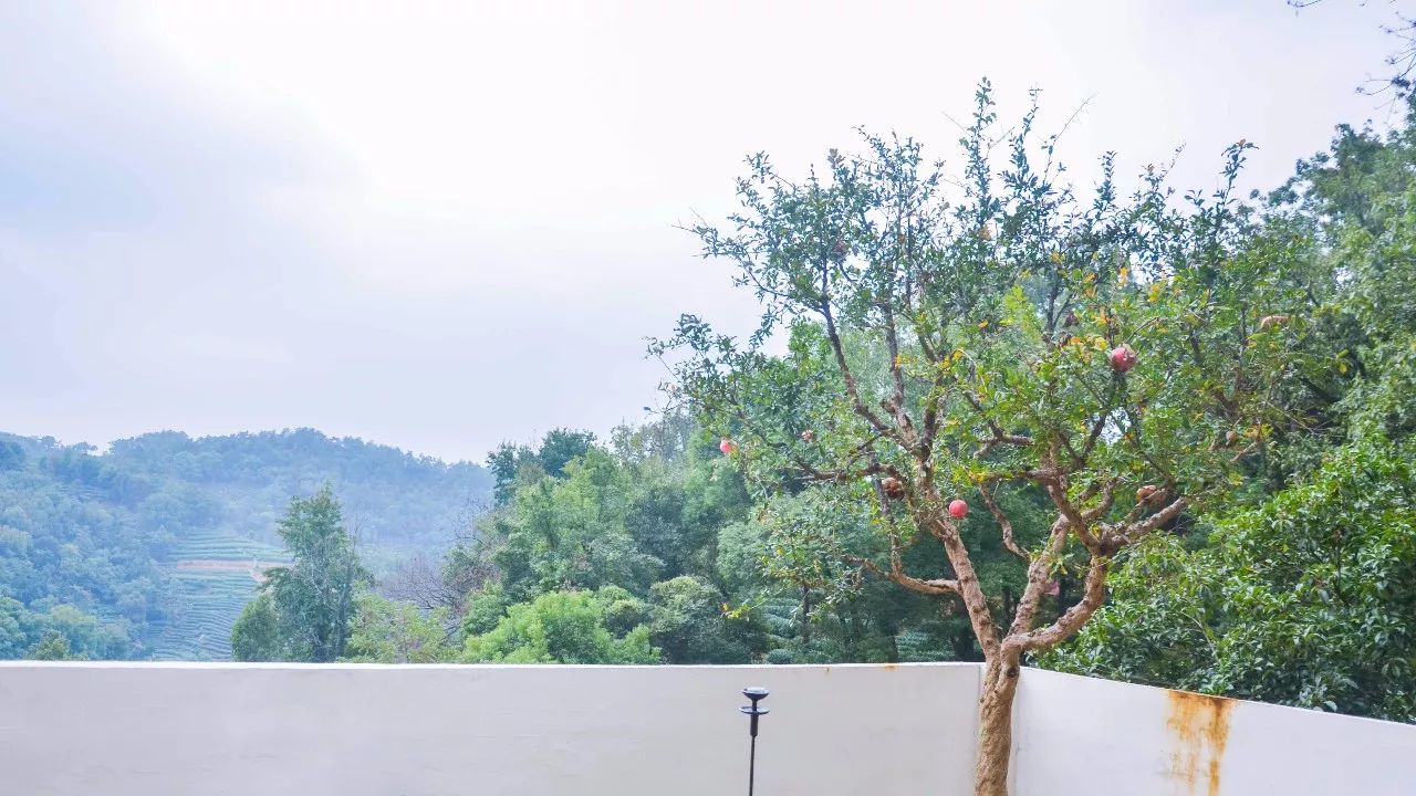 茶隱·喜在山舍，上有茶山下有九溪肆意虛度生活