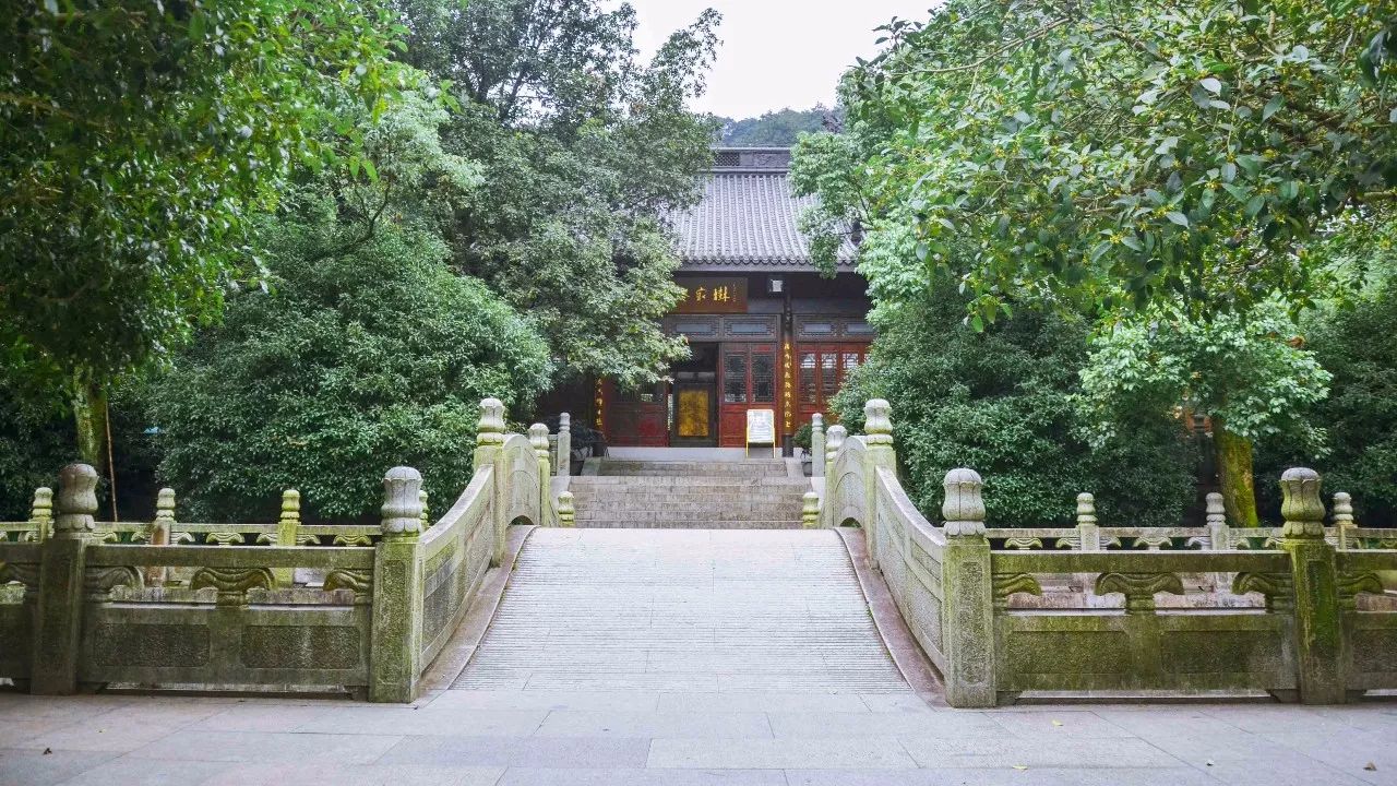 茶隱·喜在山舍，上有茶山下有九溪肆意虛度生活