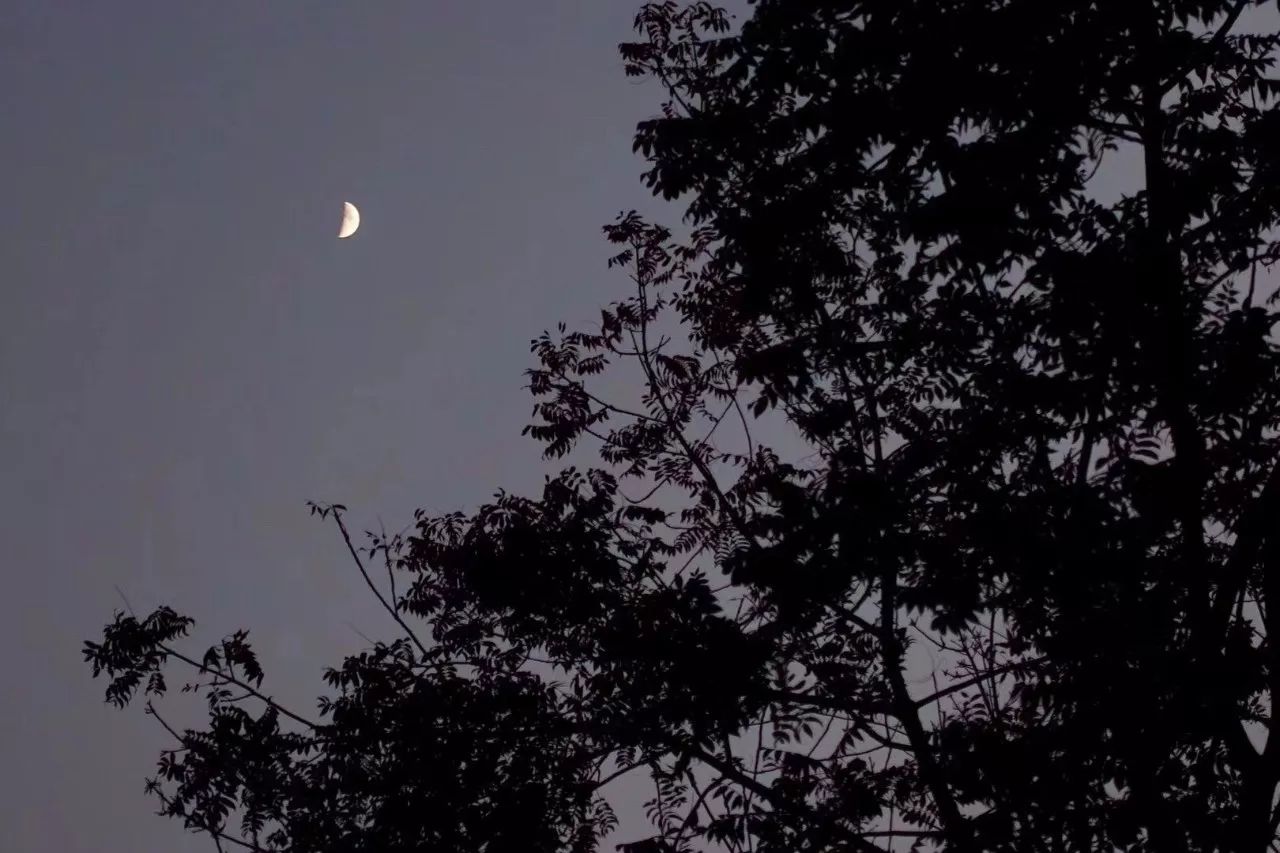茶隱·喜在山舍，上有茶山下有九溪肆意虛度生活