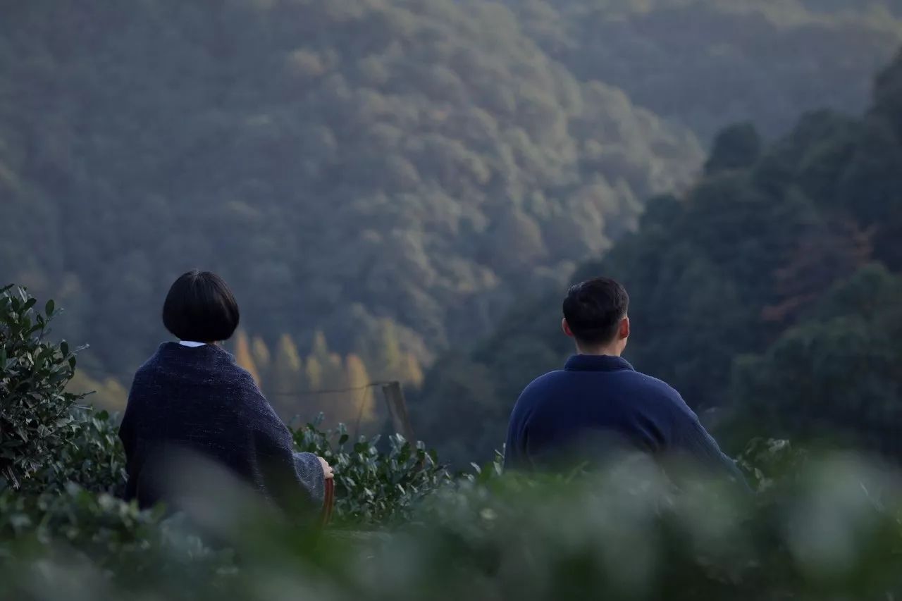 茶隱·喜在山舍，上有茶山下有九溪肆意虛度生活