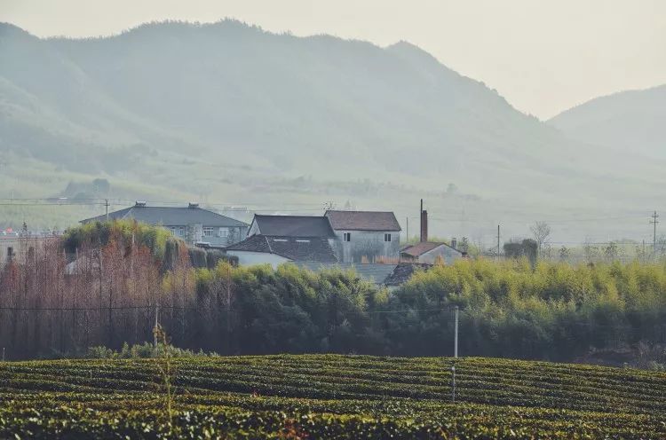 桐廬·云溪上，想要大片的田園被云朵環(huán)繞!