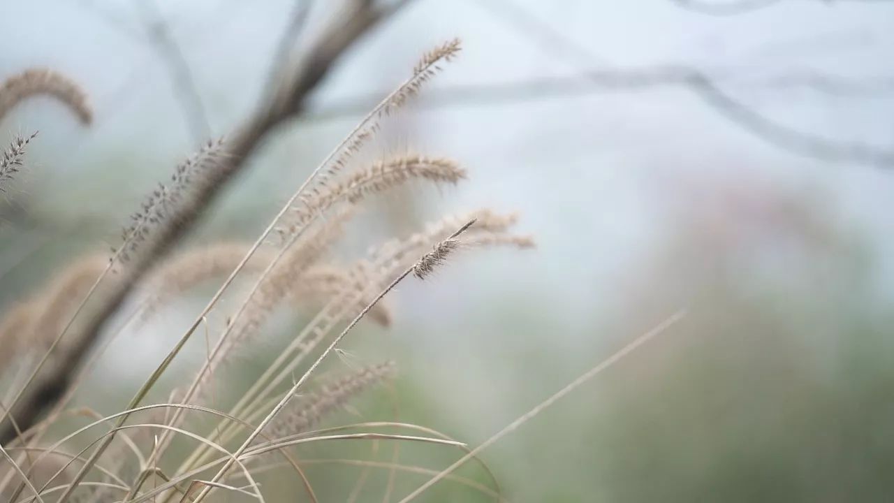桐廬·云溪上，想要大片的田園被云朵環(huán)繞!