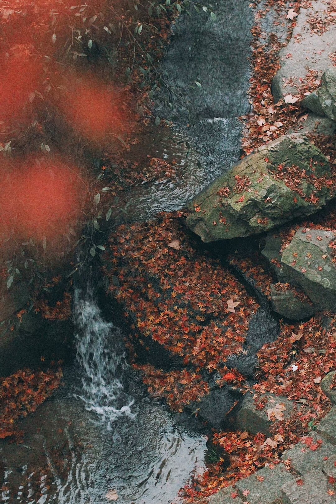 桐廬·云溪上，想要大片的田園被云朵環(huán)繞!