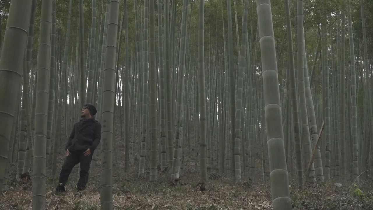 桐廬·云溪上，想要大片的田園被云朵環(huán)繞!