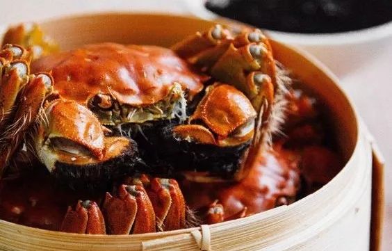 蘇州·泊悅灣，城市鄉(xiāng)村間人們何嘗不是兩棲動物