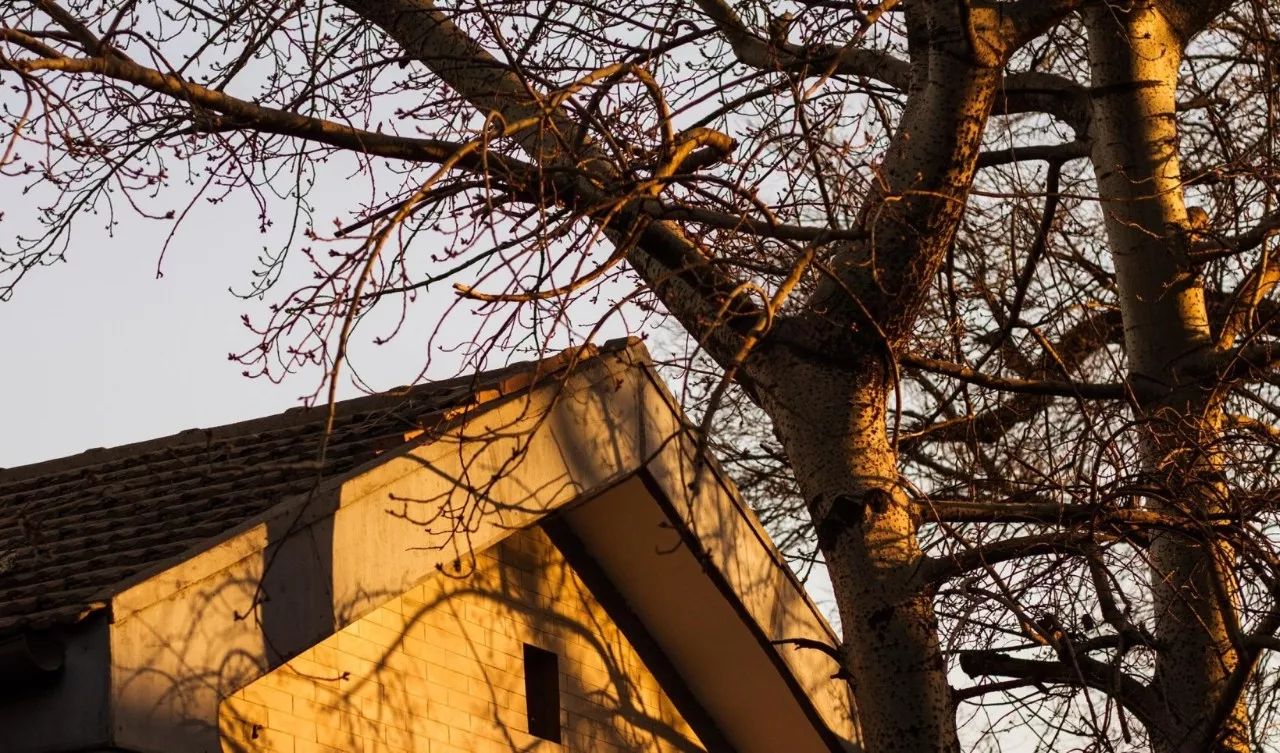 蘇州·泊悅灣，城市鄉(xiāng)村間人們何嘗不是兩棲動物