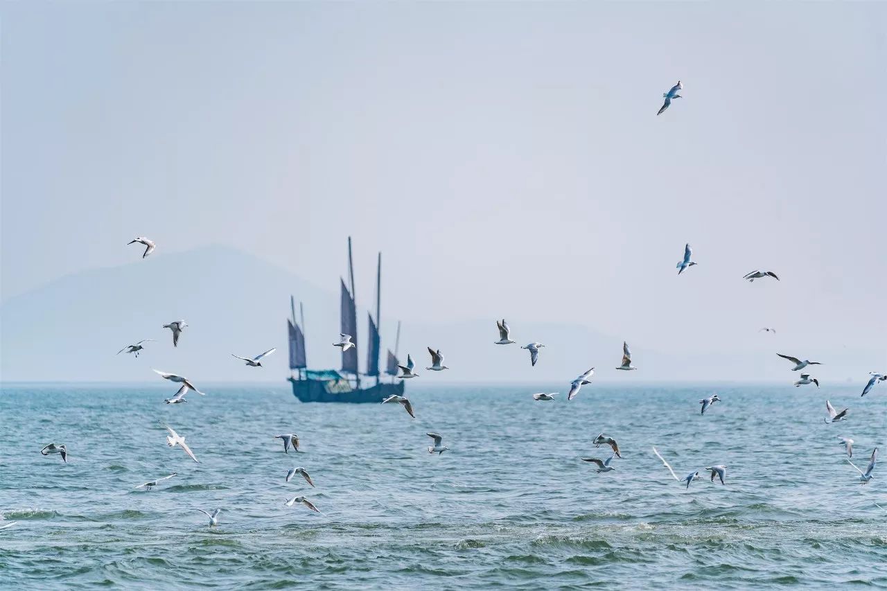 蘇州·泊悅灣，城市鄉(xiāng)村間人們何嘗不是兩棲動物