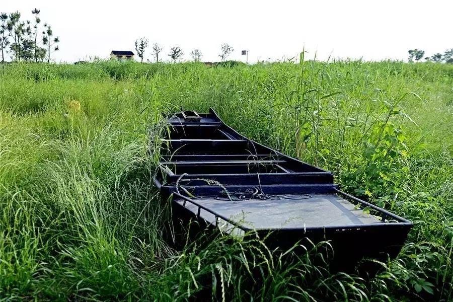 蘇州·泊悅灣，城市鄉(xiāng)村間人們何嘗不是兩棲動(dòng)物