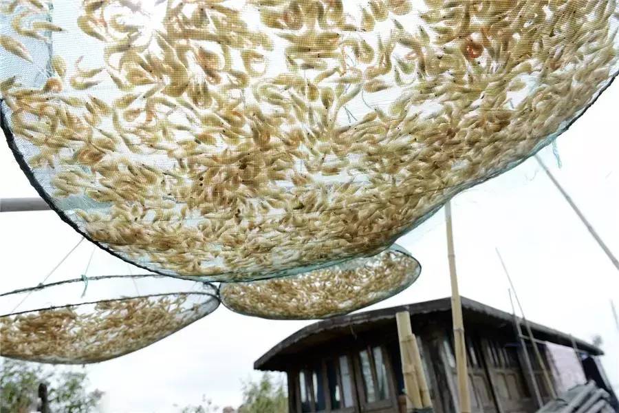 蘇州·泊悅灣，城市鄉(xiāng)村間人們何嘗不是兩棲動(dòng)物