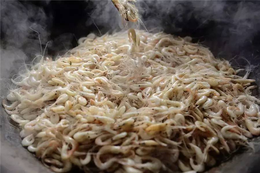 蘇州·泊悅灣，城市鄉(xiāng)村間人們何嘗不是兩棲動(dòng)物