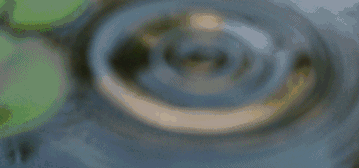 蘇州·泊悅灣，城市鄉(xiāng)村間人們何嘗不是兩棲動物