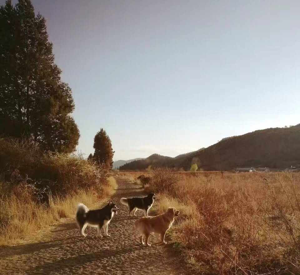 麗江束河·雲山南，相愛真的是一種奇跡