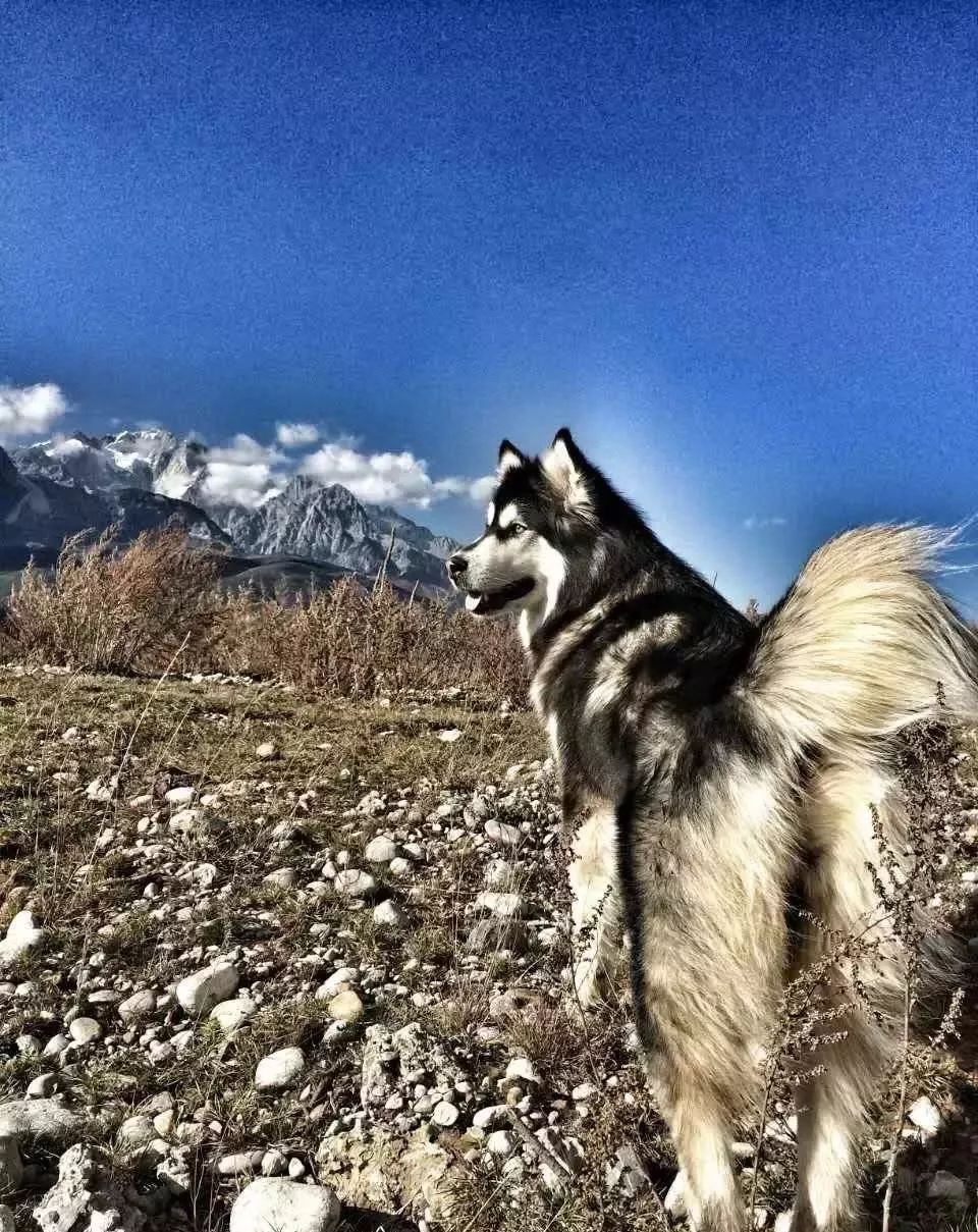 麗江束河·雲山南，相愛真的是一種奇跡