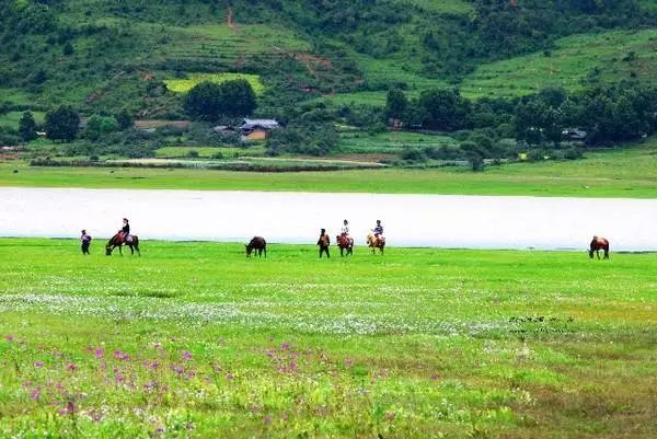 麗江束河·雲(yún)山南，相愛(ài)真的是一種奇跡