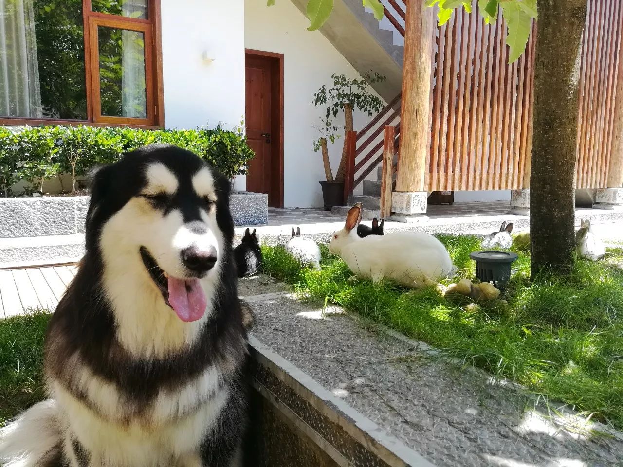 麗江束河·雲(yún)山南，相愛(ài)真的是一種奇跡