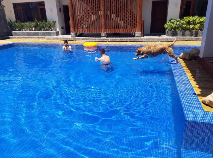 麗江束河·雲(yún)山南，相愛真的是一種奇跡