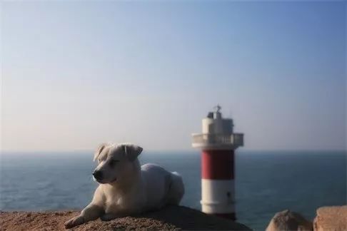 東極·塵曦，絕美的日出和嶄新的開始在等我