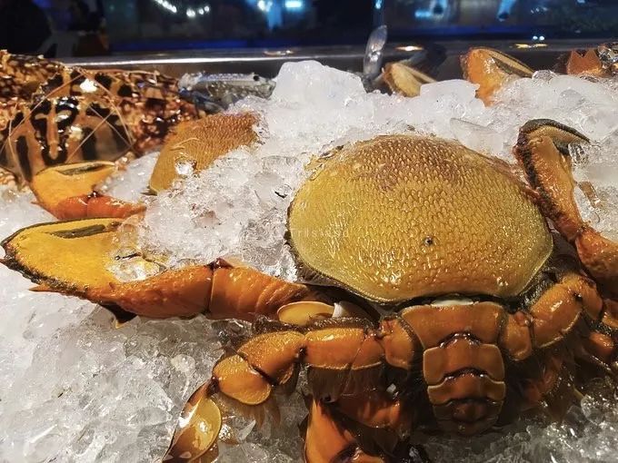 普吉島·寓薦，曬太陽吹海風(fēng)過溫暖的海島生活