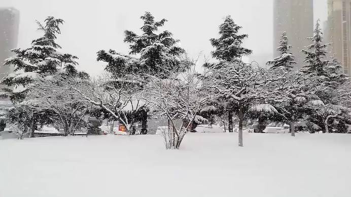 普吉島·寓薦，曬太陽吹海風(fēng)過溫暖的海島生活