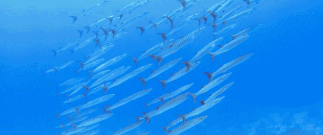 普吉島·寓薦，曬太陽吹海風過溫暖的海島生活