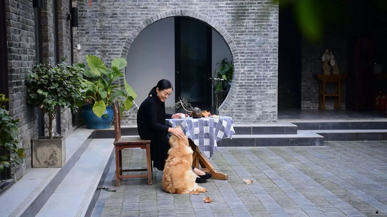 南京·老樹(shù)院子山囿里,與時(shí)光慢揉在一起彼此沉