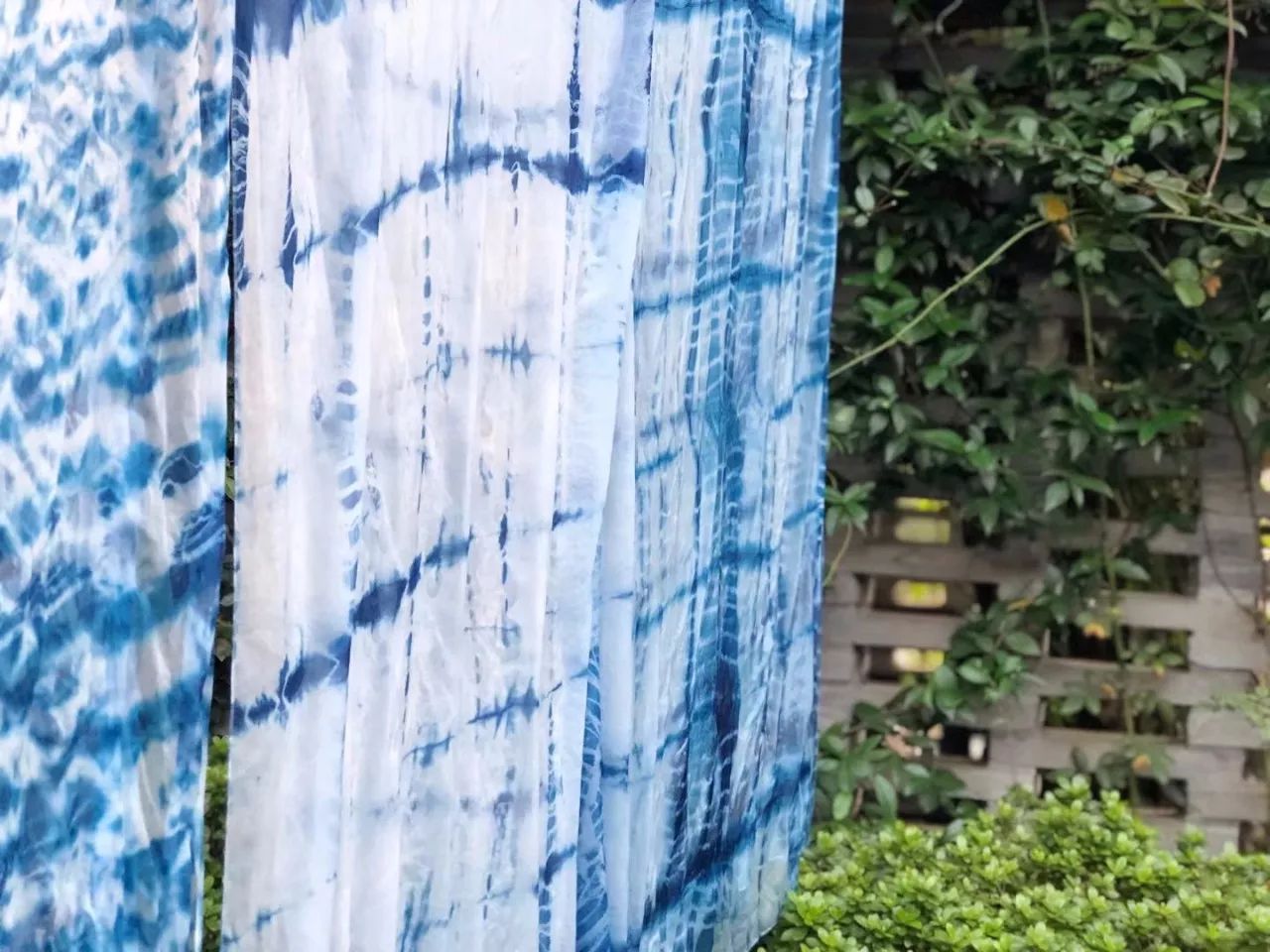 南京·老樹(shù)院子山囿里,與時(shí)光慢揉在一起彼此沉