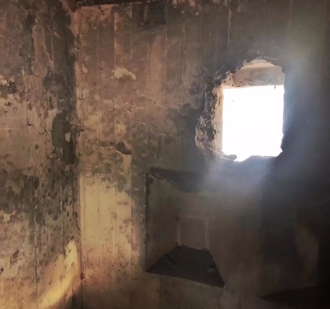 南京·老樹(shù)院子山囿里,與時(shí)光慢揉在一起彼此沉