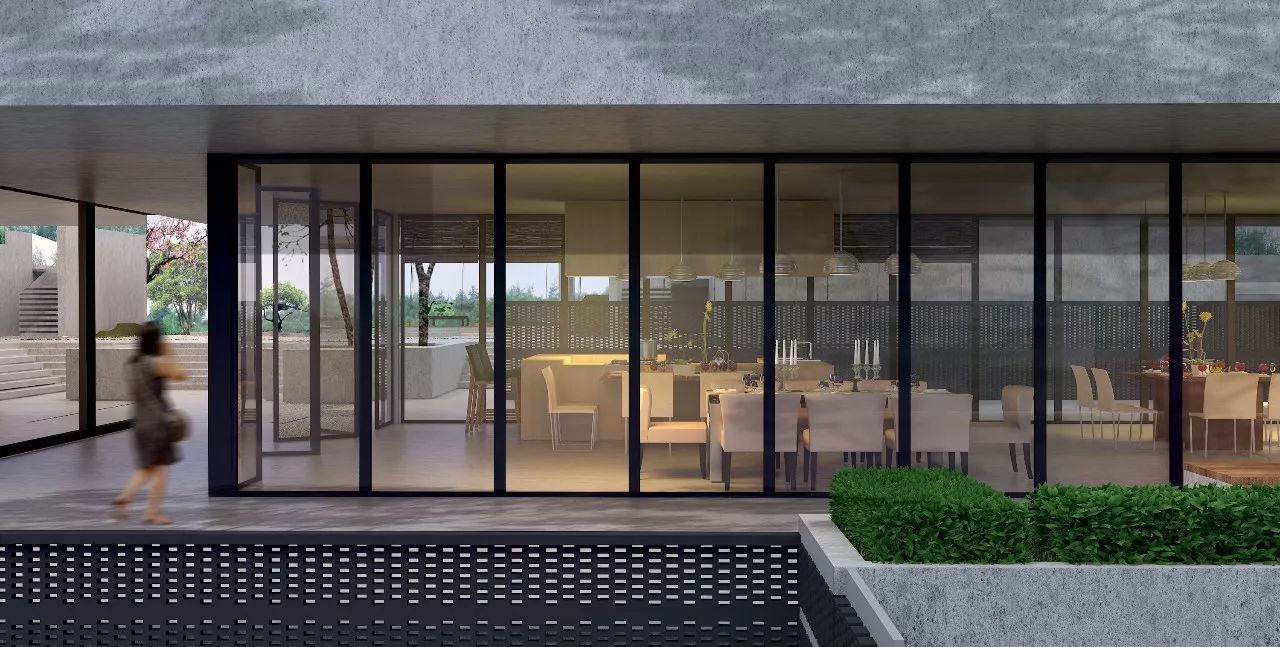 南京·老樹(shù)院子山囿里,與時(shí)光慢揉在一起彼此沉