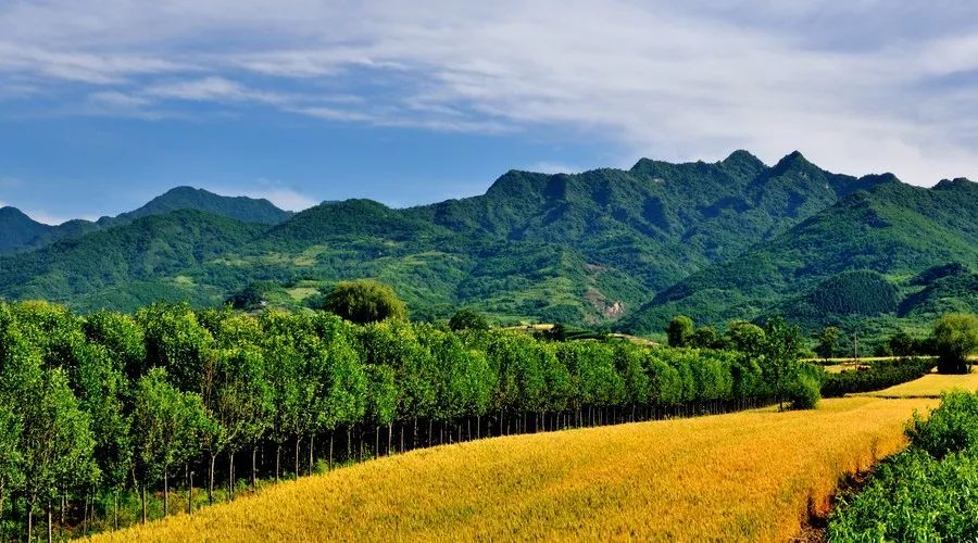 蜀中驛瓦舍旅行酒店，雅安年輕人的「老地方」