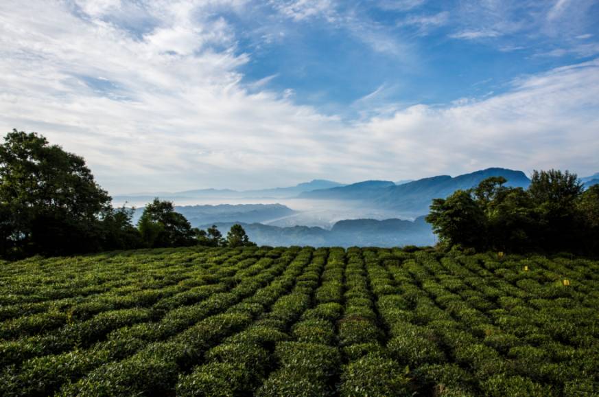 蜀中驛瓦舍旅行酒店，雅安年輕人的「老地方」