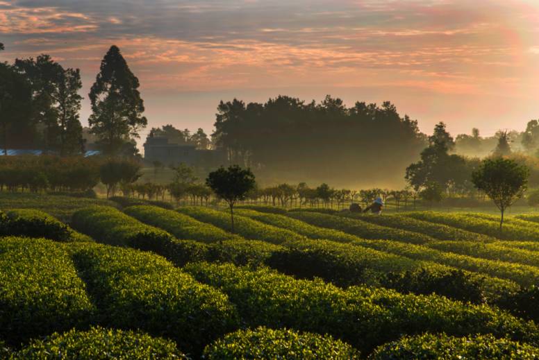 蜀中驛瓦舍旅行酒店，雅安年輕人的「老地方」