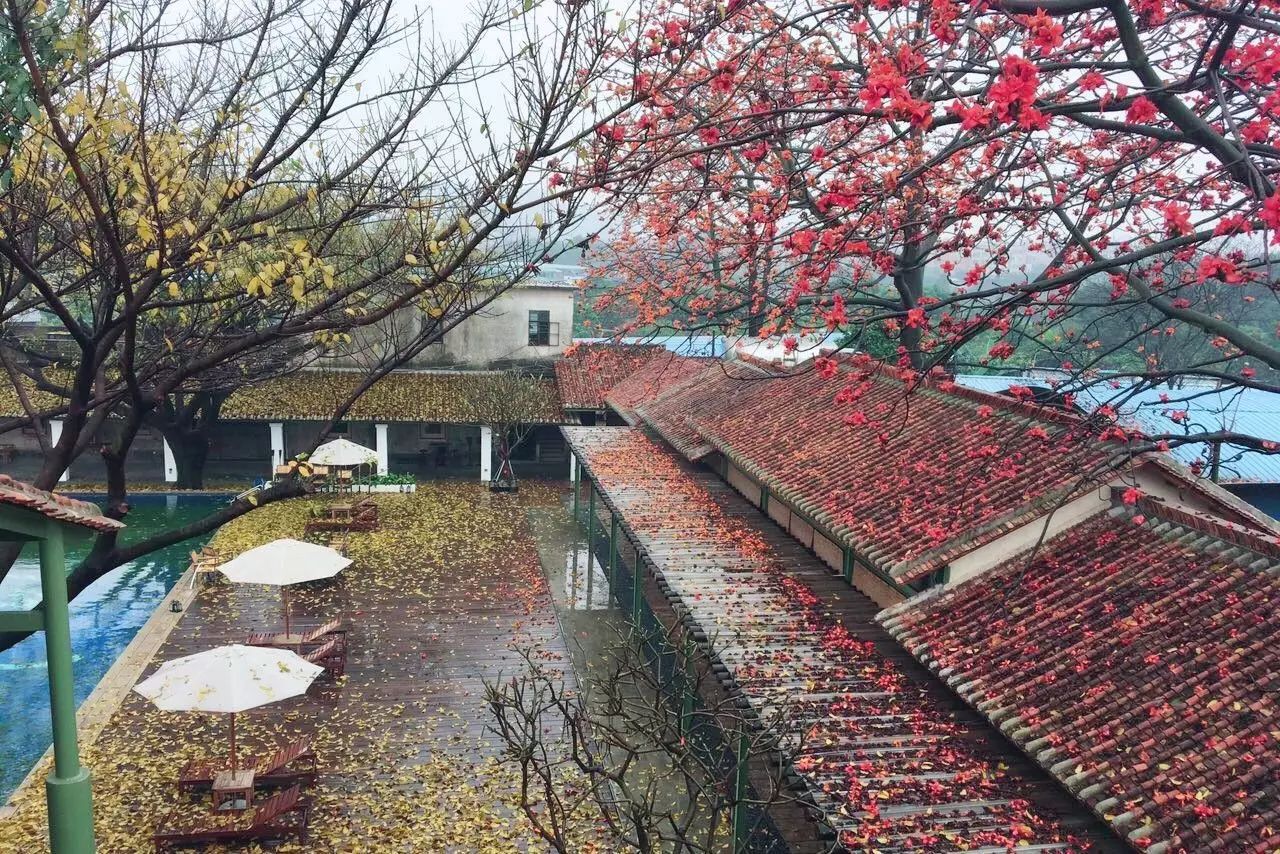 廣州·喜臨院，給這些念舊又深情的人一個(gè)禮物