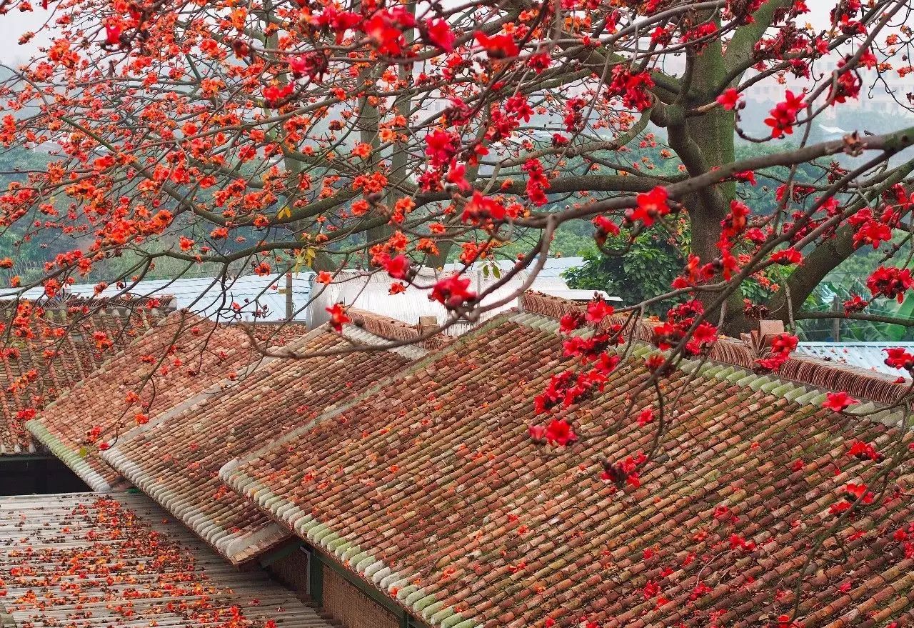 廣州·喜臨院，給這些念舊又深情的人一個(gè)禮物