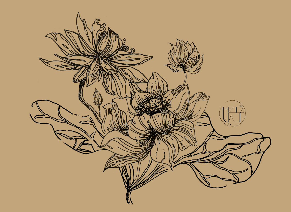 簡(jiǎn)約手繪線稿繁花黑白插畫