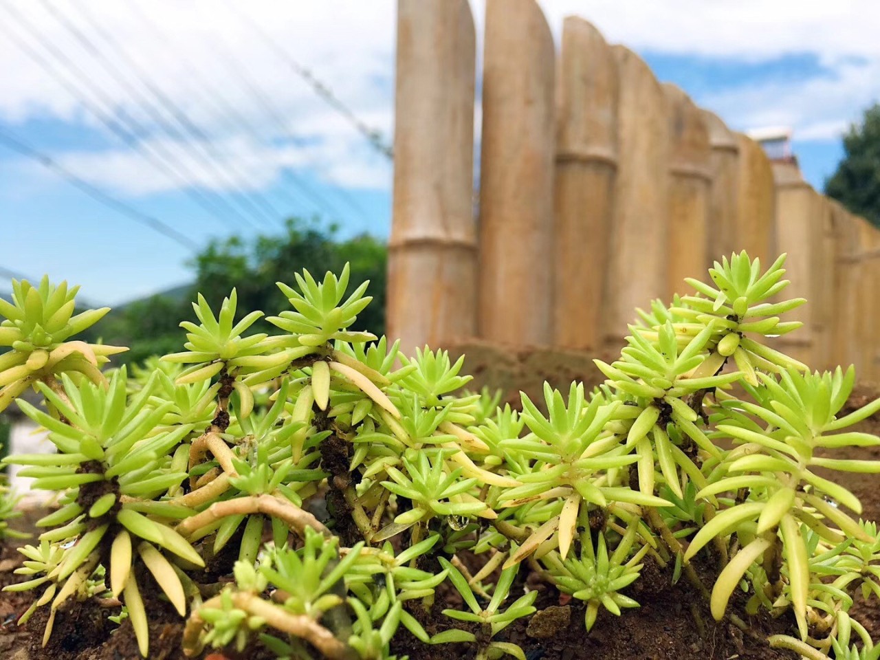 南京·匠村臥香，活在當下傾我所有去生活