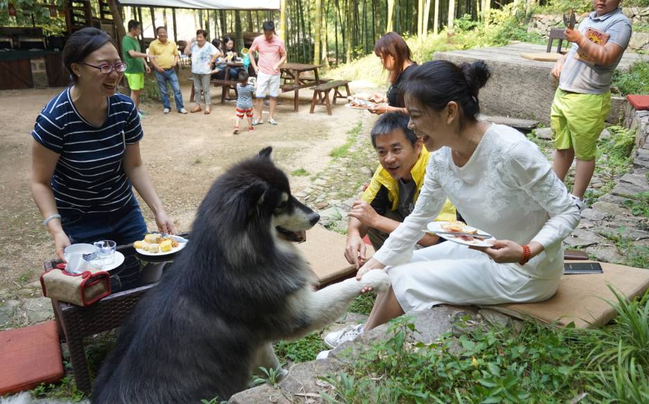 南京·匠村臥香，活在當下傾我所有去生活