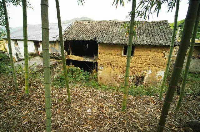 杭州·蓮社溪客，不妥協(xié)的人生才比較有趣