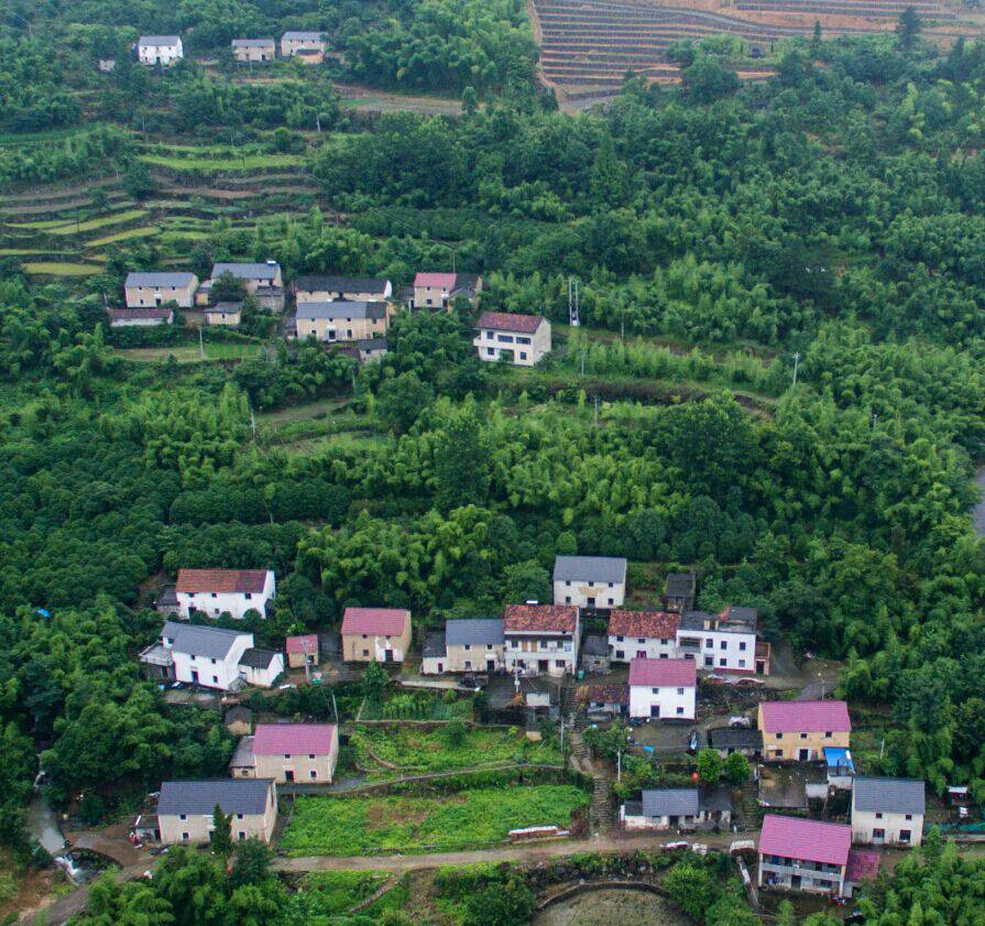 杭州·蓮社溪客，不妥協(xié)的人生才比較有趣