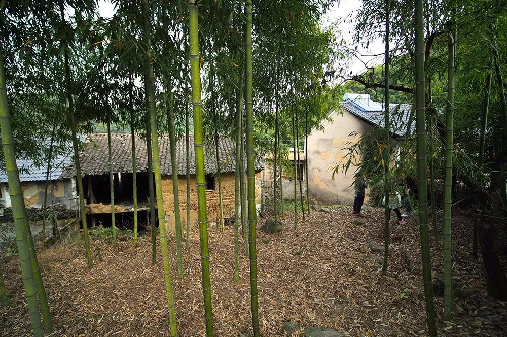 杭州·蓮社溪客，不妥協(xié)的人生才比較有趣