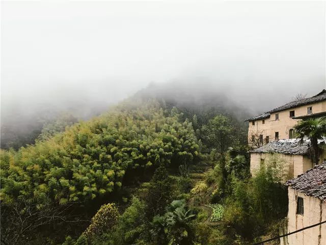 杭州·蓮社溪客，不妥協(xié)的人生才比較有趣