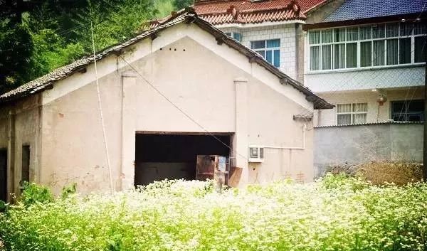 讓時(shí)光和經(jīng)歷變成一本書：中國(guó)首家圖書館民宿