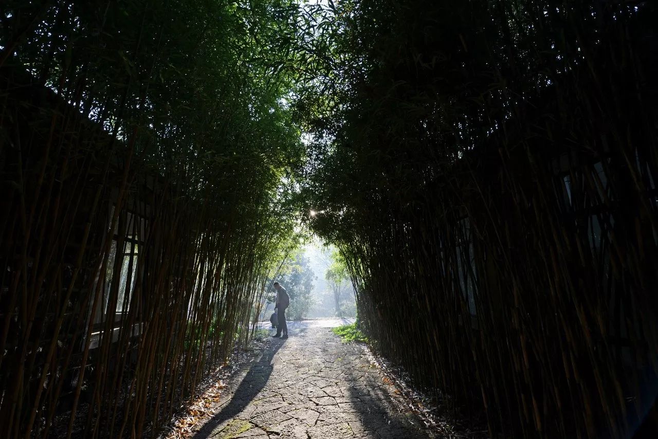 江蘇·兩可間，喚起心底一絲對傳統(tǒng)藝術的感念