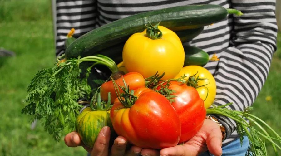 江蘇·兩可間，喚起心底一絲對(duì)傳統(tǒng)藝術(shù)的感念