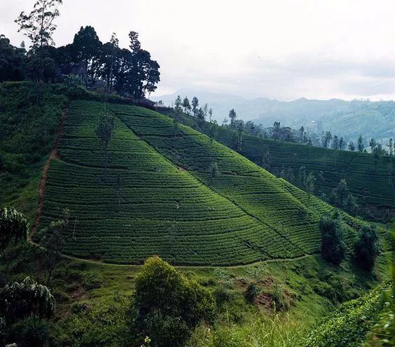 一同山居，骨子有靈魂的禪意山居!