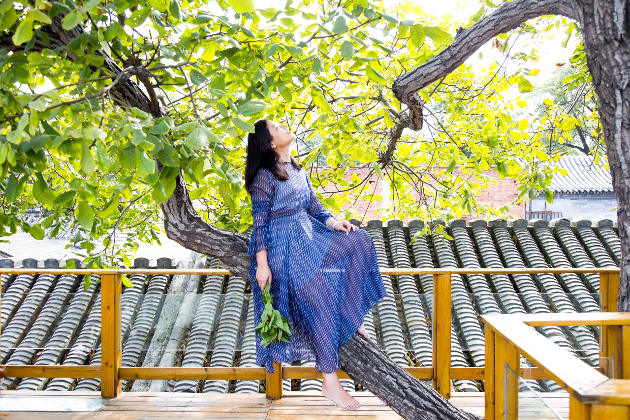 京城·63號院子，有院子老樹老北京的煙火氣息