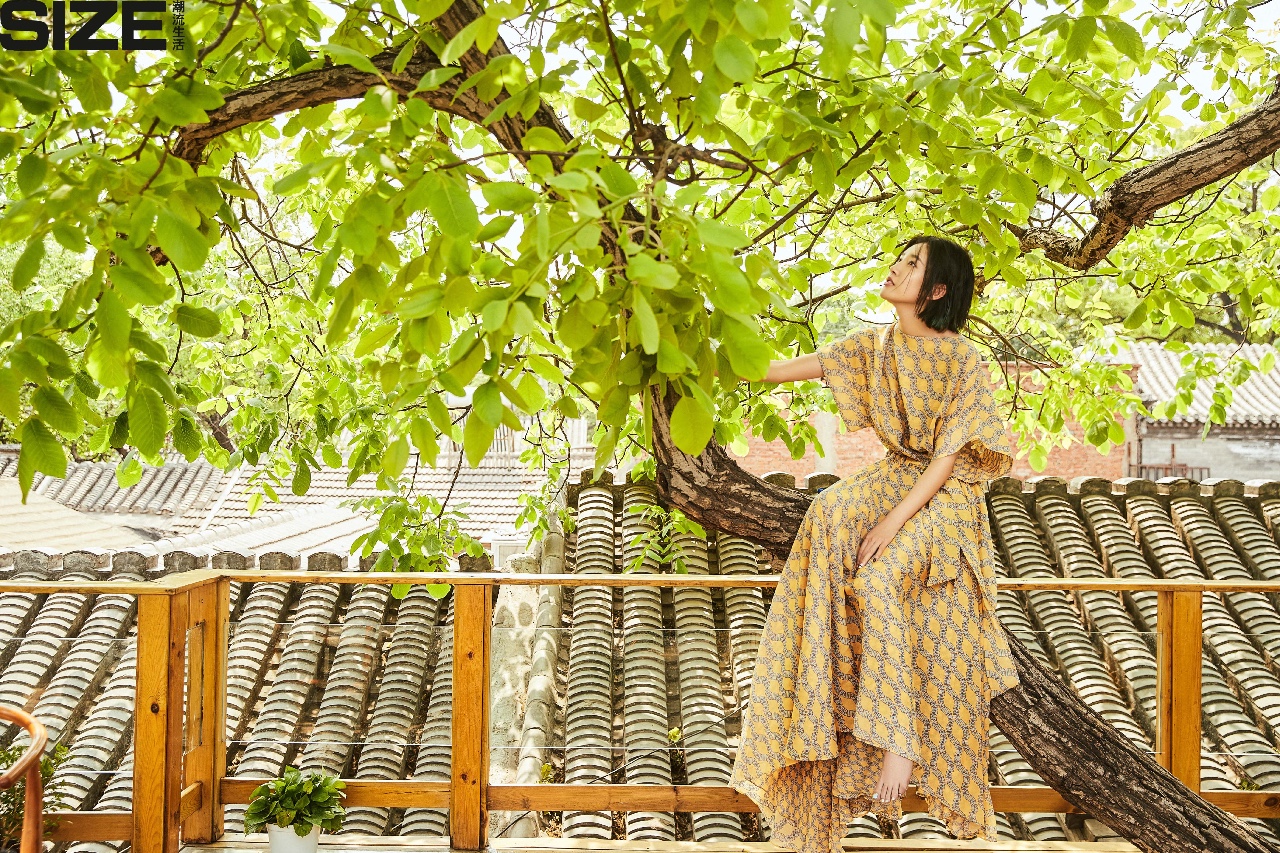 京城·63號院子，有院子老樹老北京的煙火氣息