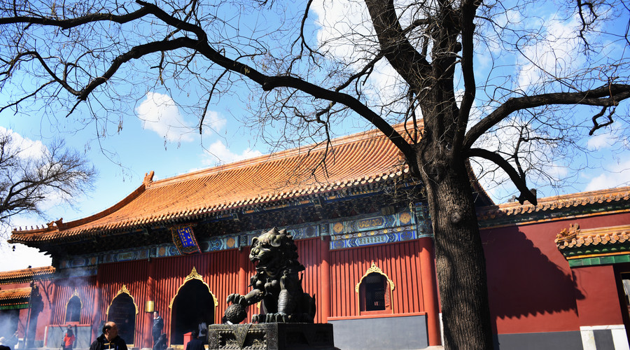 京城·63號院子，有院子老樹老北京的煙火氣息