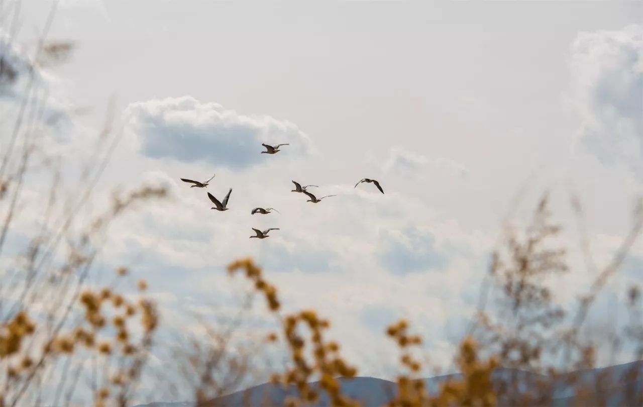 莫干山·宿里，一處桃花源建一處詩(shī)意棲居之所